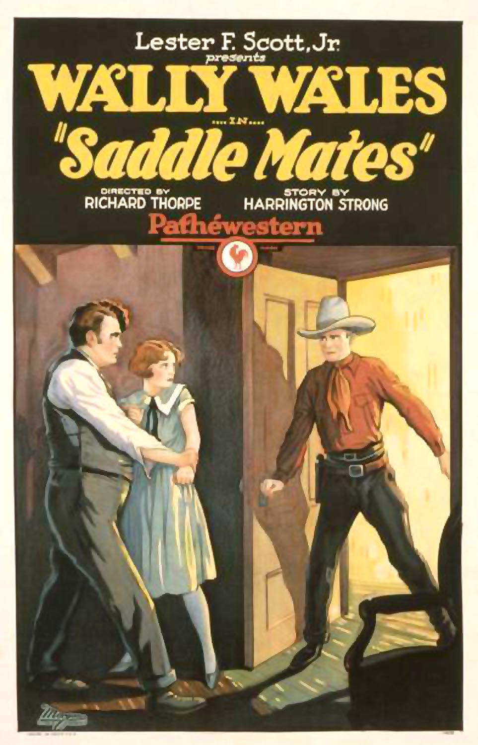 SADDLE MATES